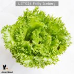 Frilly-Iceberg-2