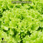 Green-Oak-2jpg