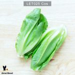 cos-3